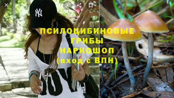 крисы Аркадак