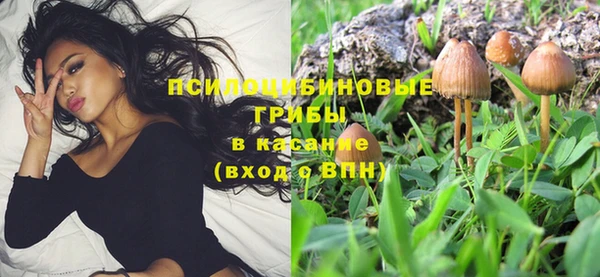 дурь Армянск