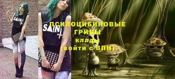 ешки Арсеньев