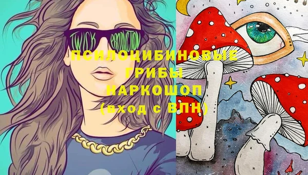 ешки Арсеньев