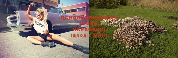 ешки Арсеньев