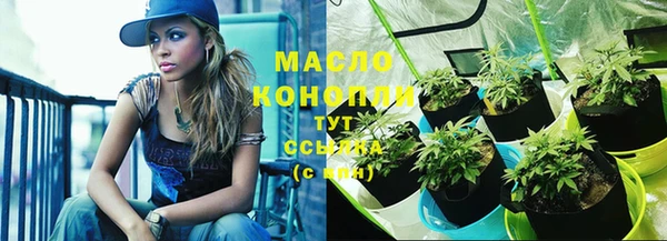 крисы Аркадак