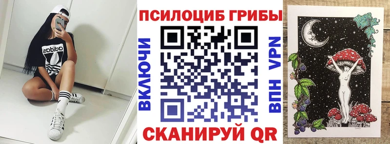 Псилоцибиновые грибы MAGIC MUSHROOMS  Купить где  Чехов 